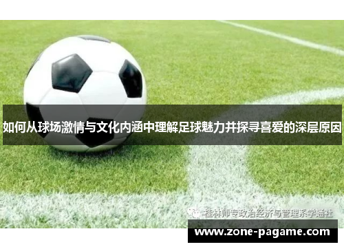 如何从球场激情与文化内涵中理解足球魅力并探寻喜爱的深层原因 如何从球场激情与文化内涵中理解足球魅力并探寻喜爱的深层原因