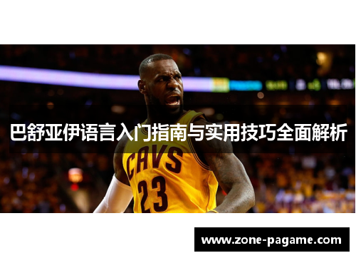 巴舒亚伊语言入门指南与实用技巧全面解析