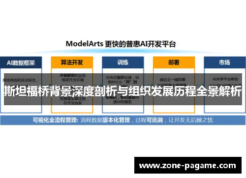斯坦福桥背景深度剖析与组织发展历程全景解析 斯坦福桥背景深度剖析与组织发展历程全景解析